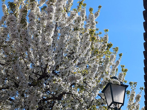 Aldeia histórica de Monsanto-孟山多必去景点