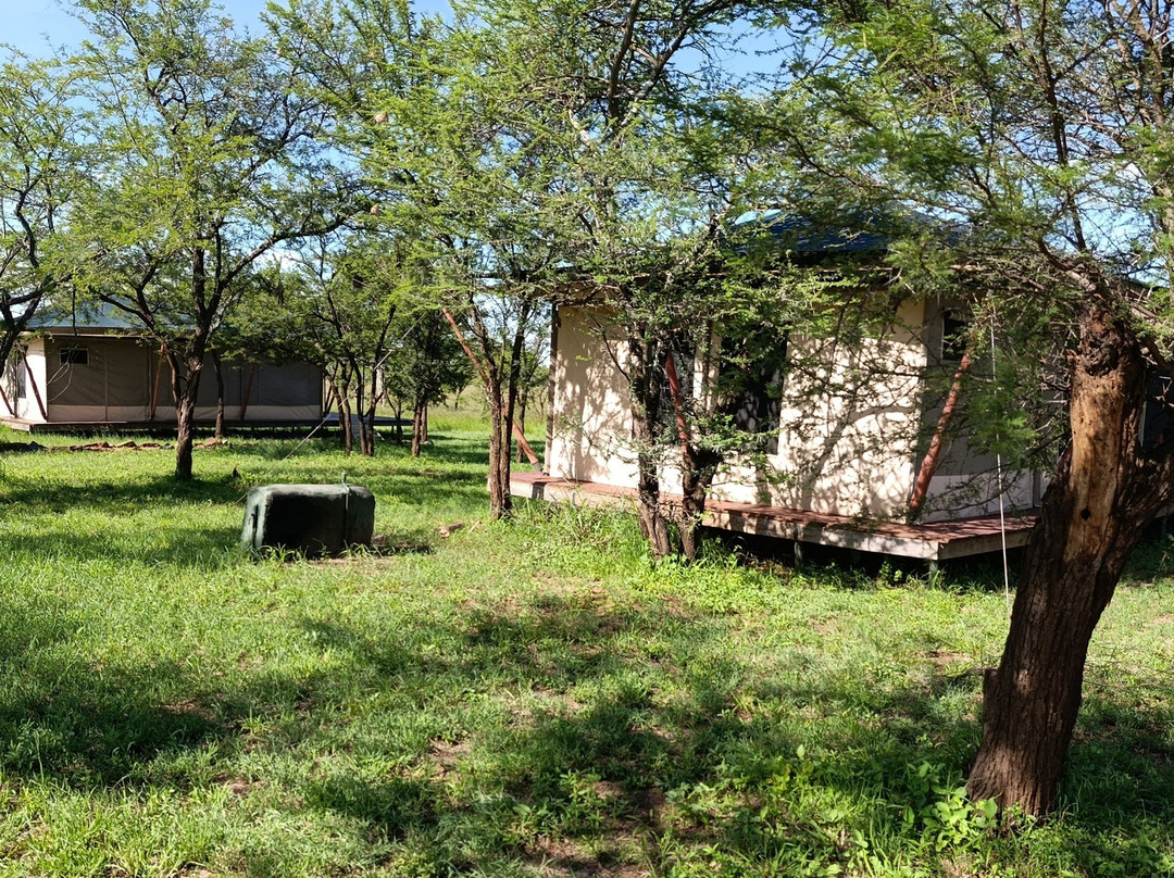 Serengeti Queens Camp-Seronera必去景点