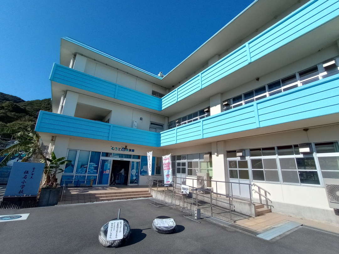 Muroto Haiko Aquarium-室户市必去景点