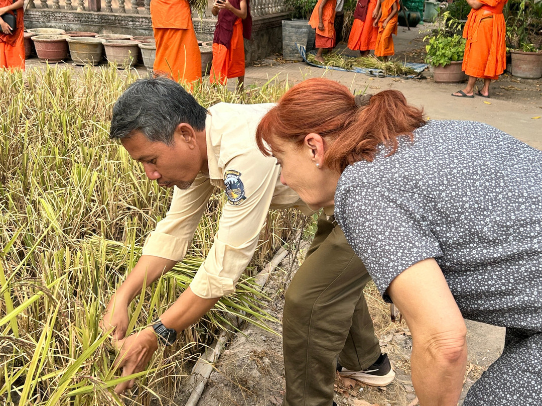 Your Angkor Guide-暹粒必去景点