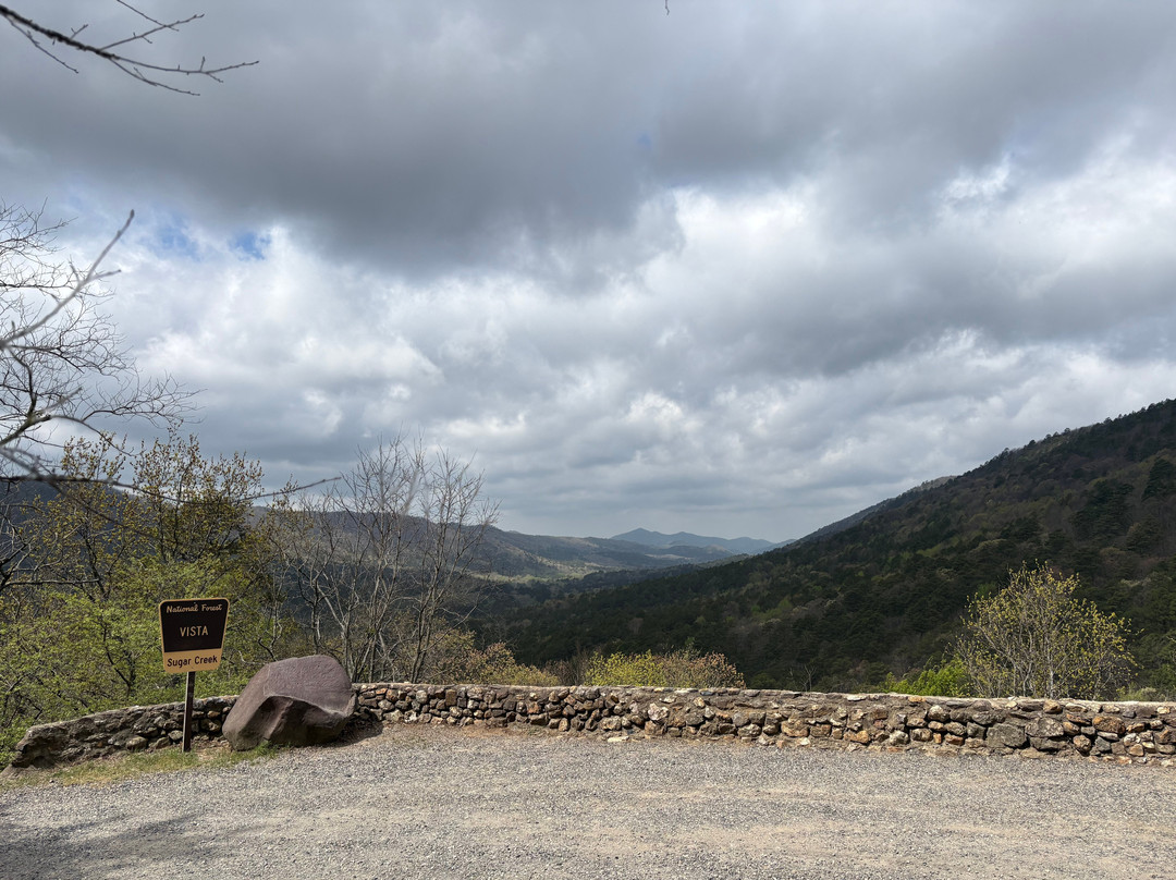 Little Wolf Cabins & ATV Rentals