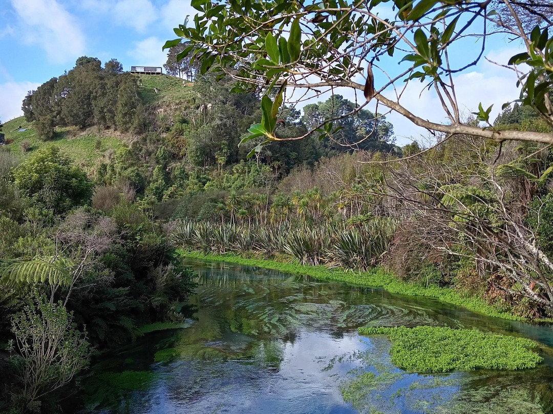 Blue Spring-普塔鲁鲁必去景点
