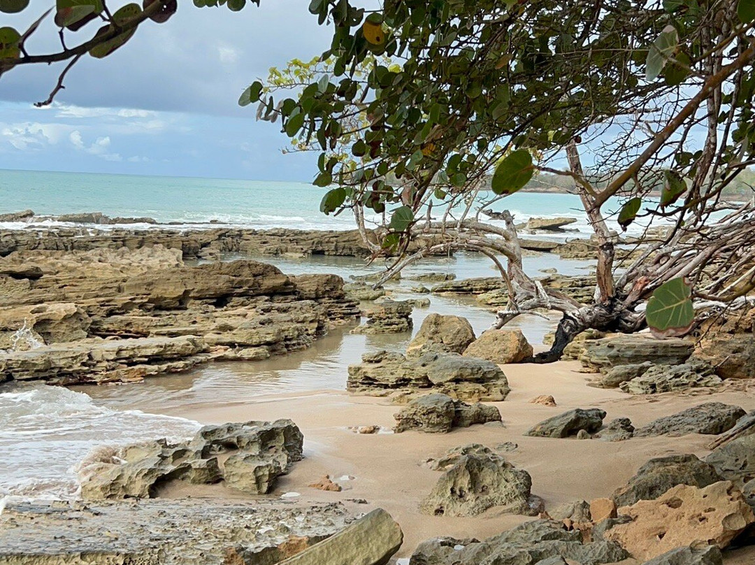 Plage Cluny-Sainte Rose必去景点