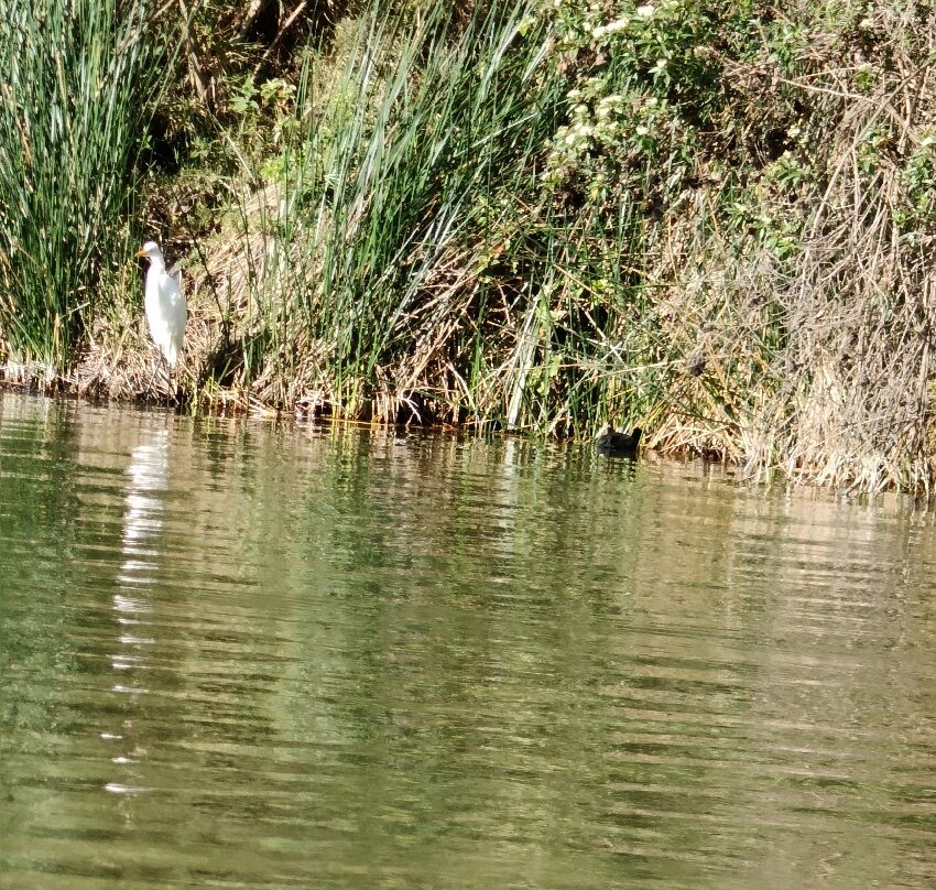 Laguna De Yambo-Salcedo必去景点