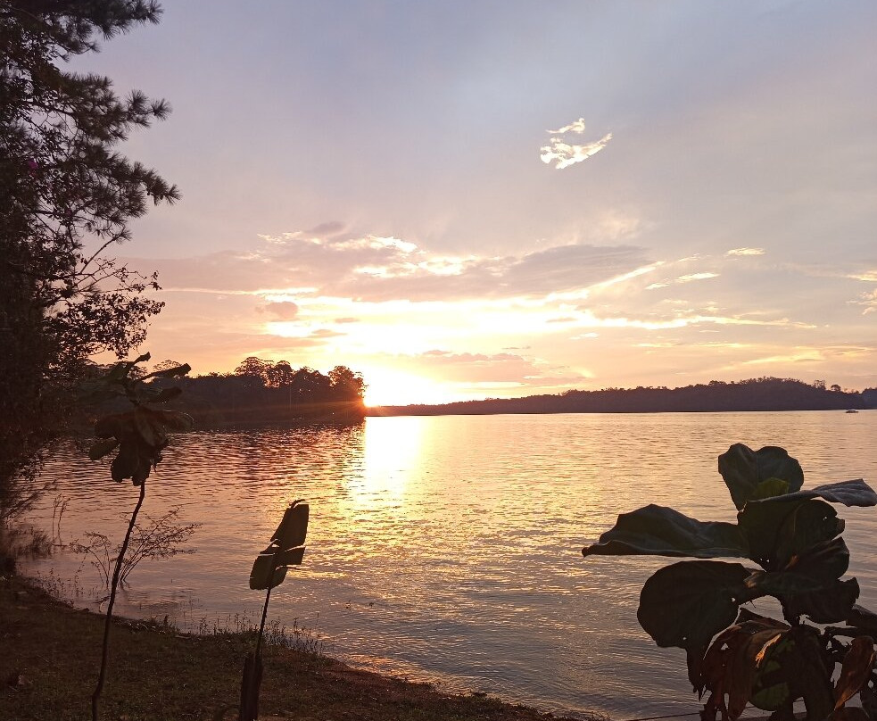Naturescer Eco Resort