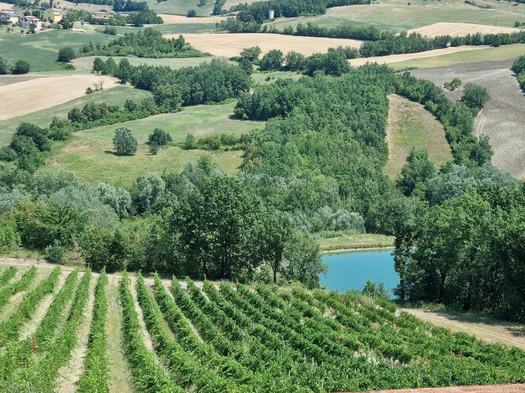 Cantina Il Poggio-萨尔索马焦雷泰尔梅必去景点