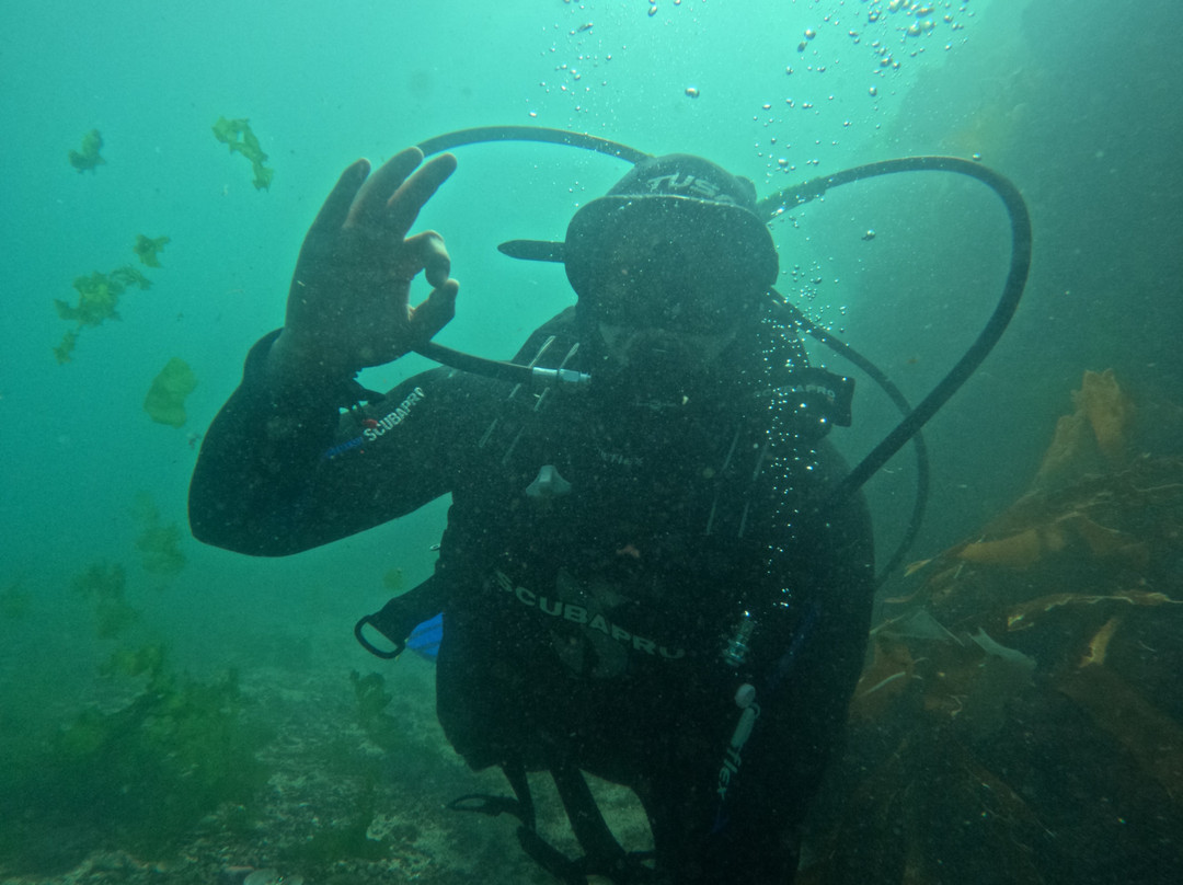 Bravamar Diving Center-Algarrobo必去景点