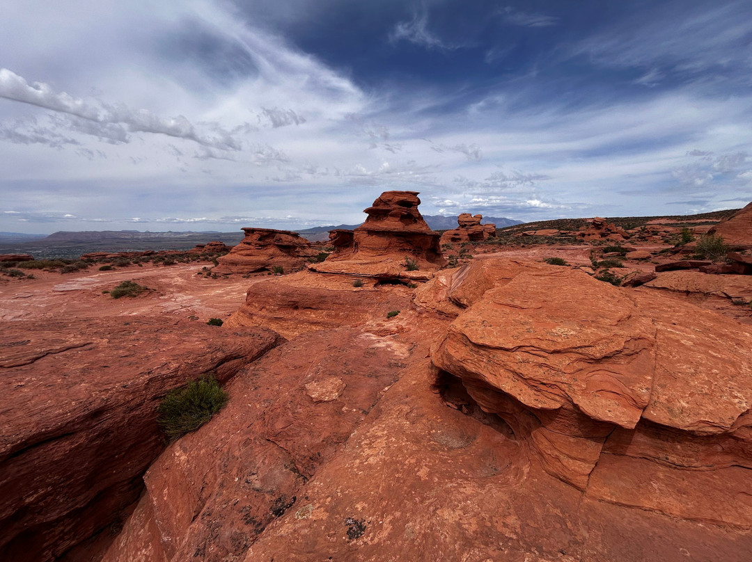 UTV Adventure Tours-Washington必去景点