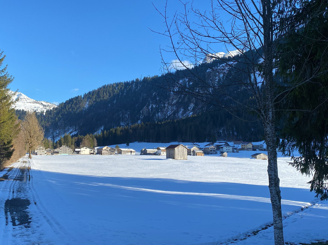 伊丽莎白酒店主图