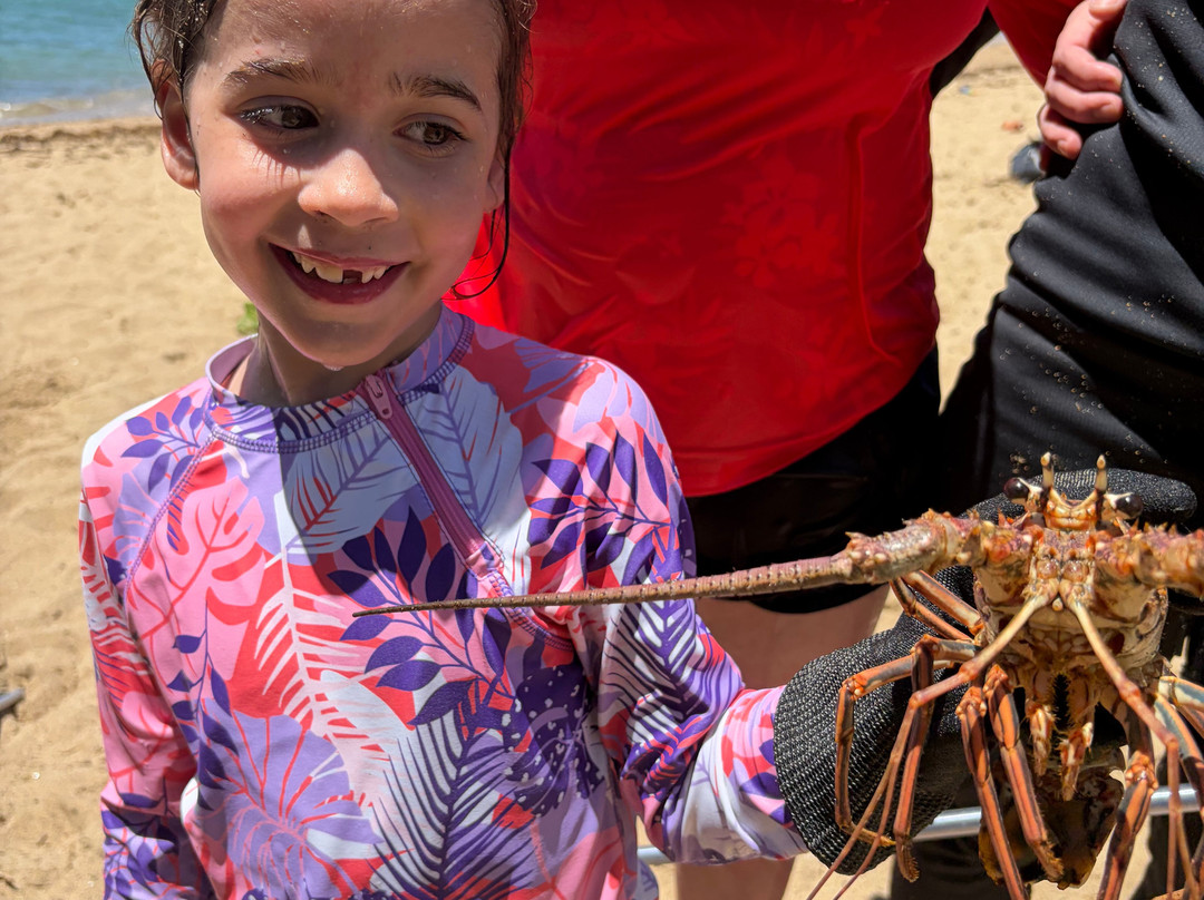 Spearfishing Rincon Puerto Rico-吕康必去景点