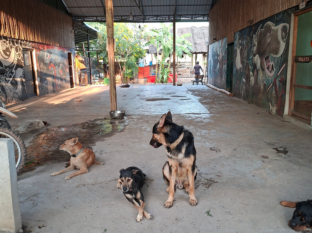 Irrawaddy Dolphins & Coastal Wonders Tour-贡布必去景点