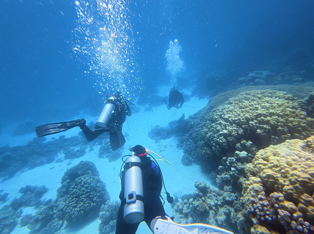 Red Sea Horse Diving-Hurghada 1必去景点