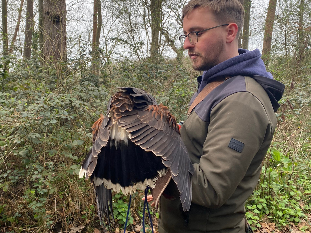 East Sussex Falconry-Herstmonceux必去景点