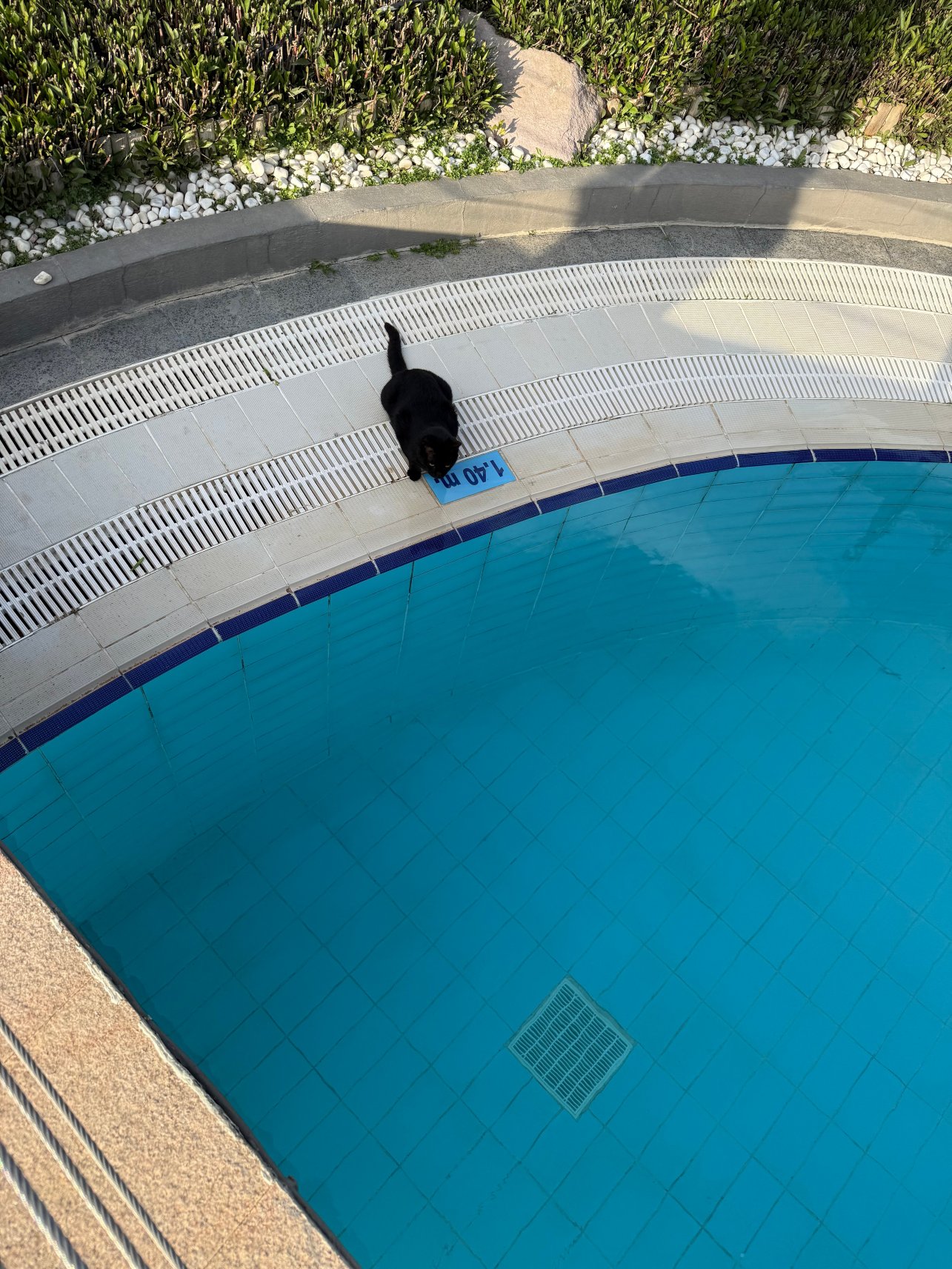 安塔利亚利马克拉腊豪华酒店及度假村-泳池