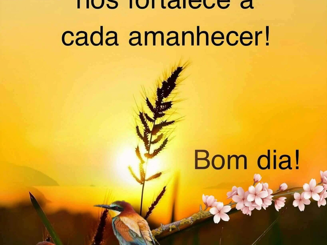 泛美行政坎普斯戈伊塔卡泽斯酒店主图