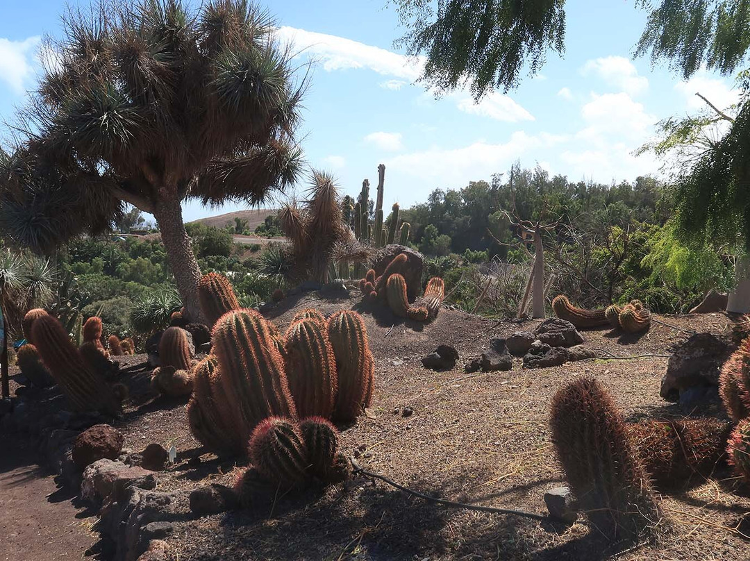 Jardin Botanico-La Lajita必去景点