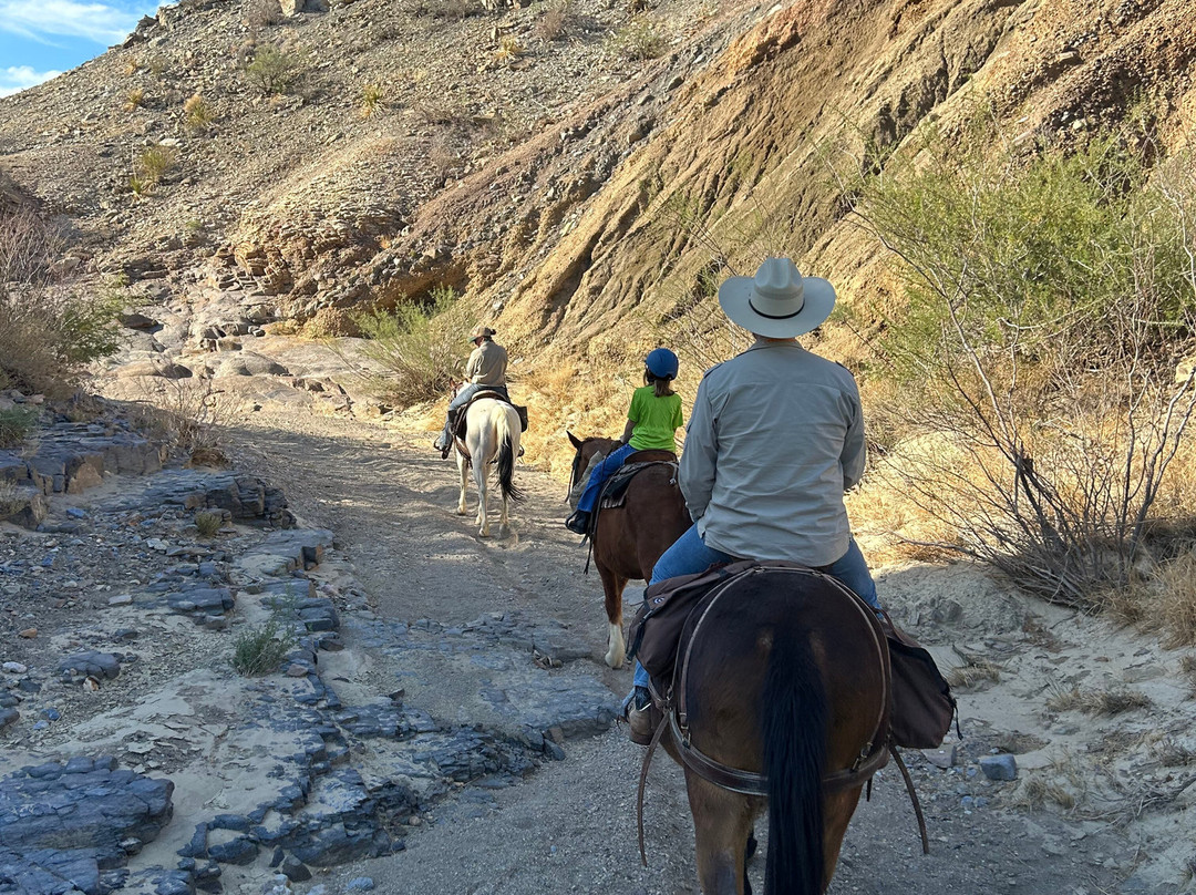 Big Bend & Lajitas Stables-Terlingua必去景点