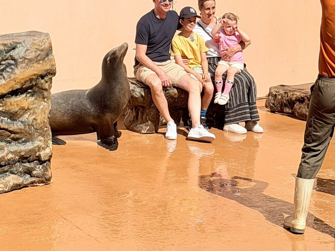 海洋世界水族馆-贝尼多姆必去景点