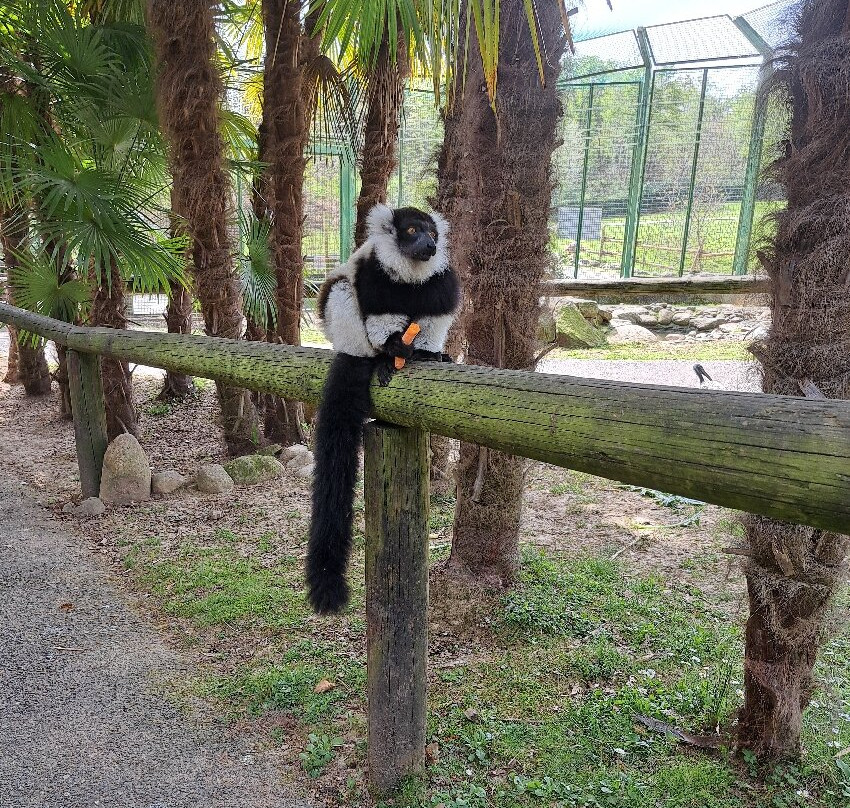 Safari Park-Pombia必去景点