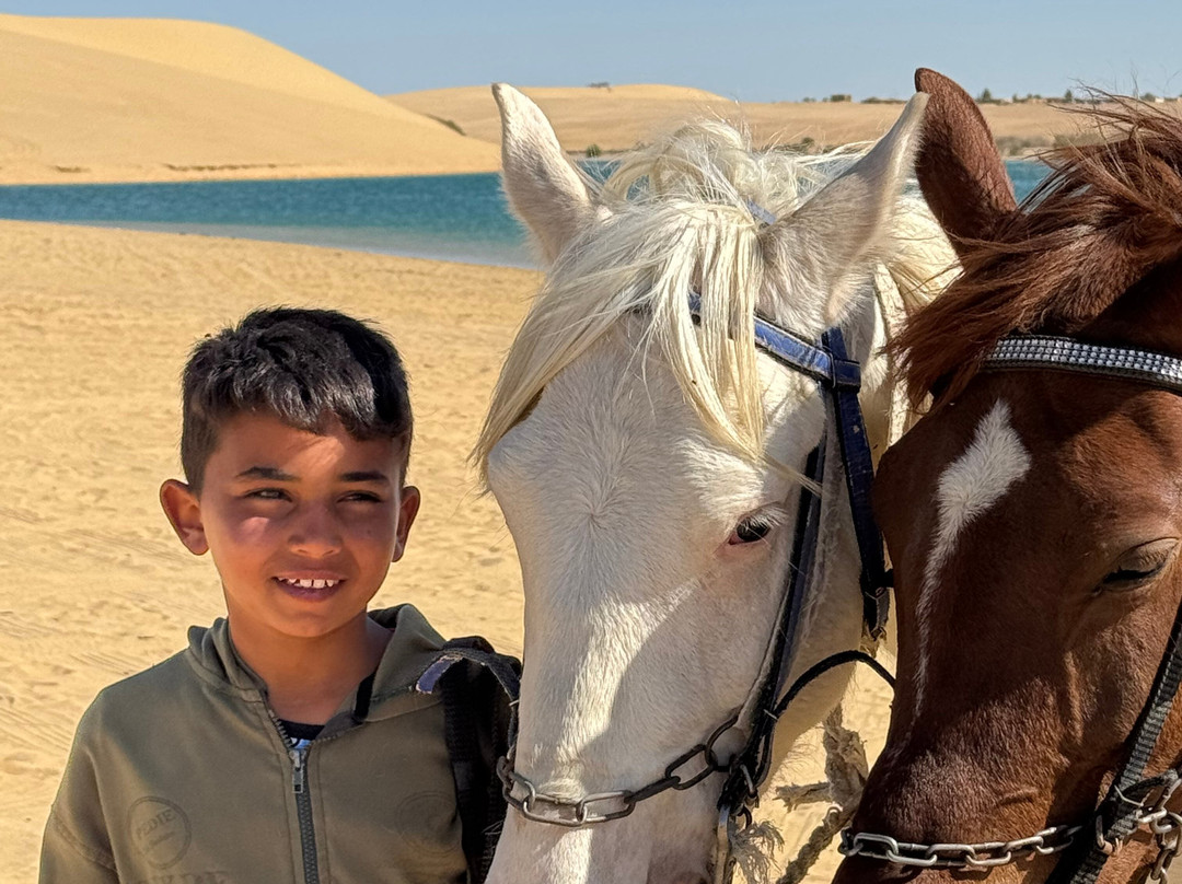 Cairo Top Tours-开罗必去景点