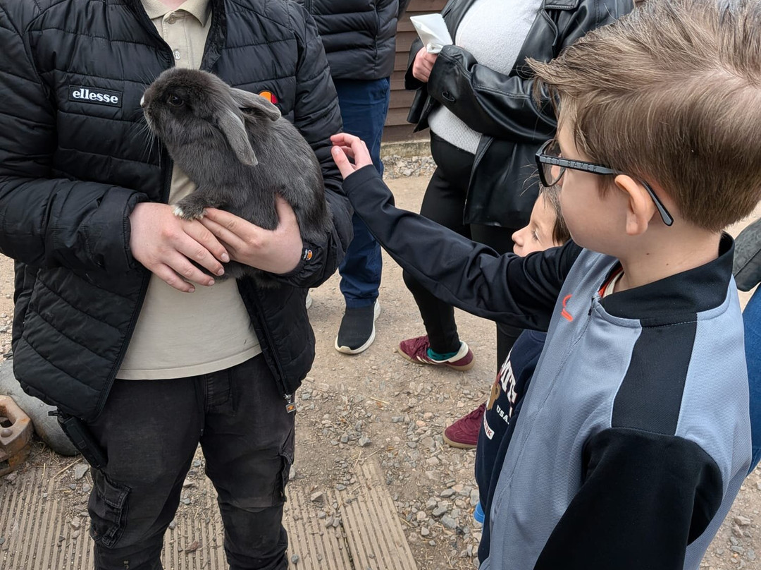 Promenade Park Petting Zoo-Maldon必去景点