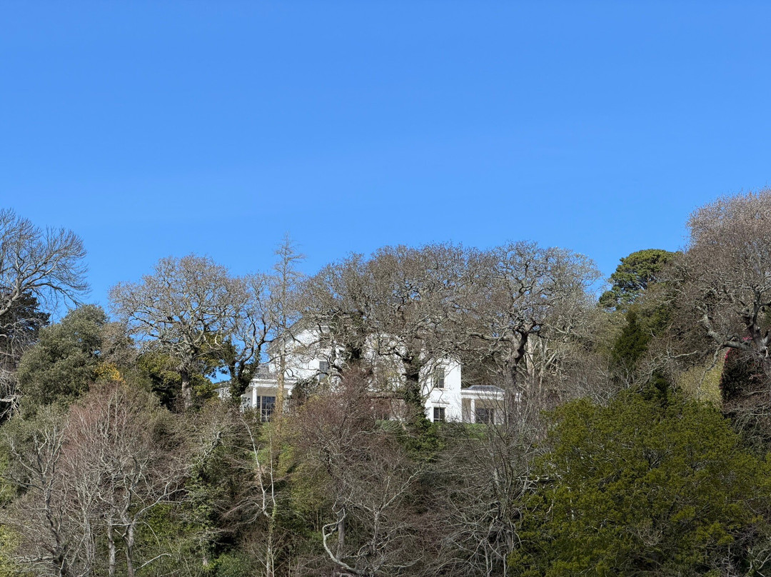 Greenway & Dittisham Ferry-达特茅斯必去景点