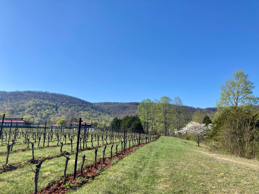 Afton Mountain Vineyards-Afton必去景点