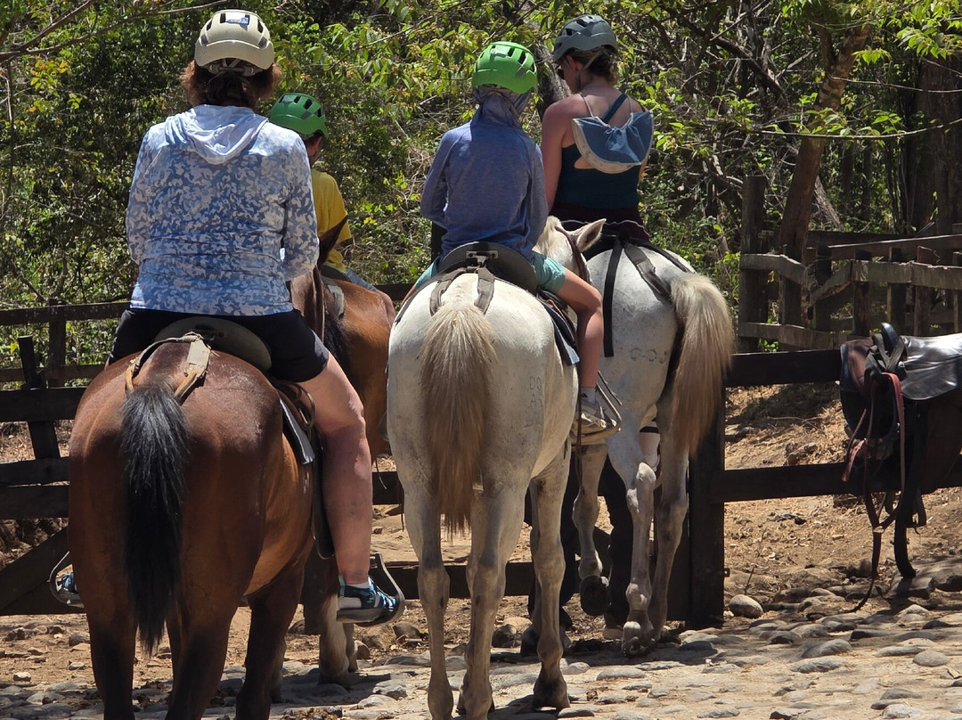 Prime Tours Costa Rica-利比里亚必去景点