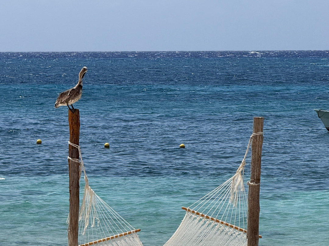 科苏梅尔神秘光环全套酒店 - 限成人主图