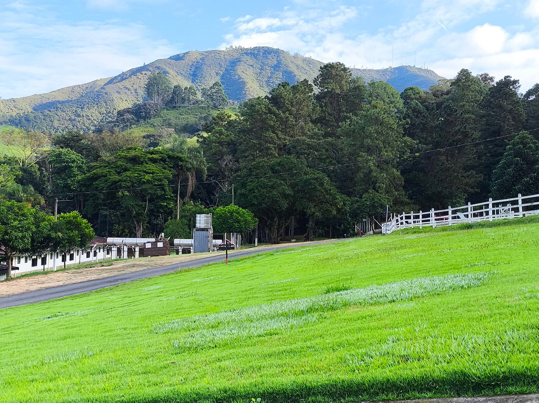 M1庄园酒店主图