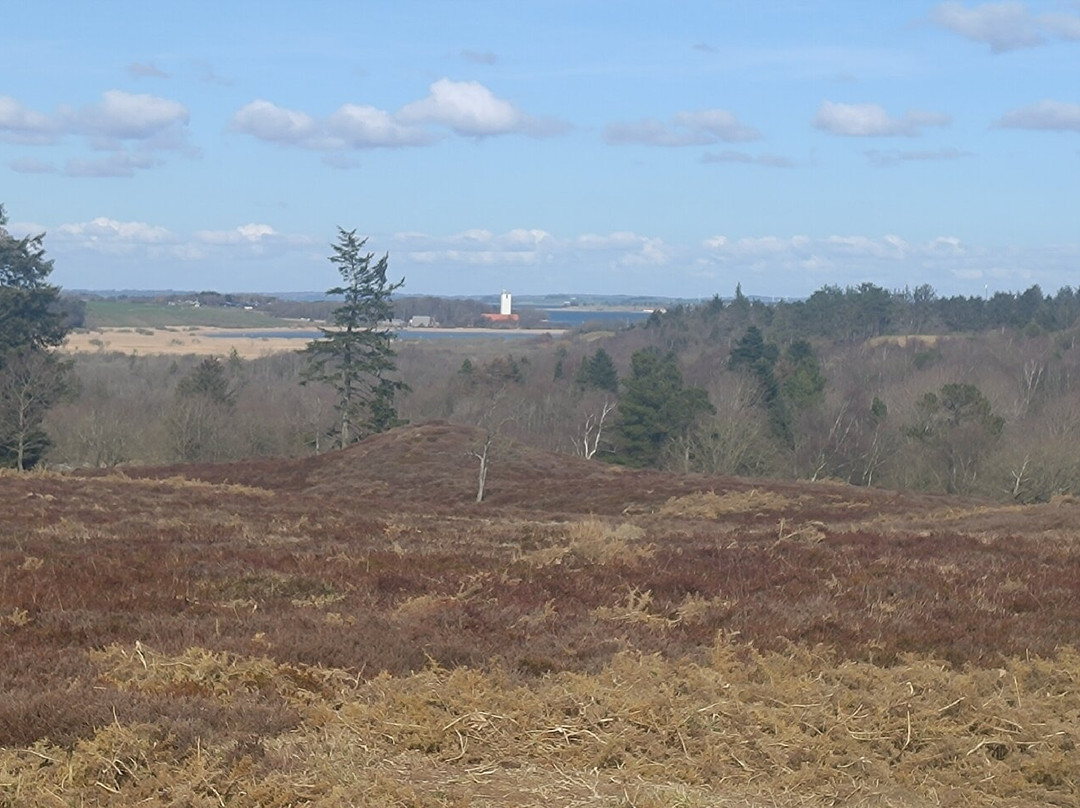 Ydby Hede-Ydby必去景点