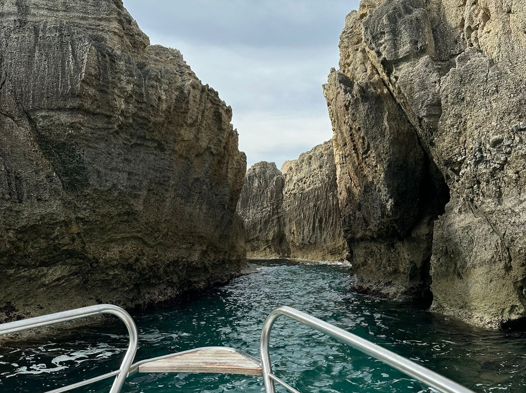 Noleggio Nautico Shark Bay-Parghelia必去景点