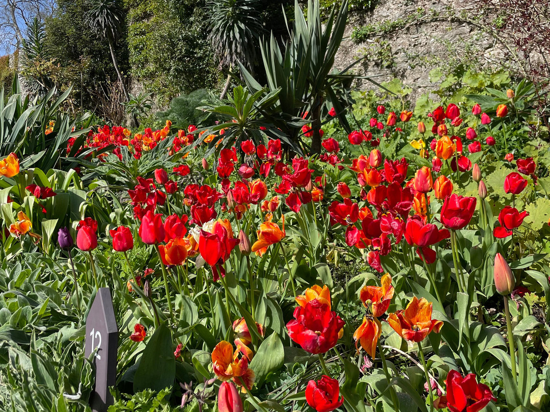 Plas Cadnant Hidden Gardens-Menai Bridge必去景点