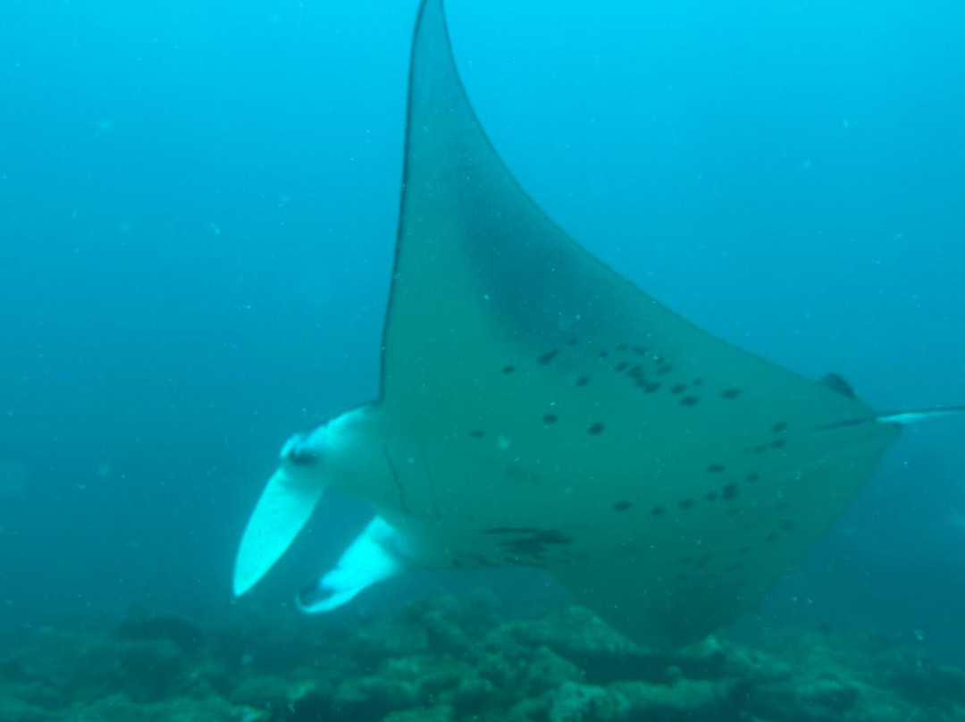 Scuba Journey-乌库拉斯必去景点