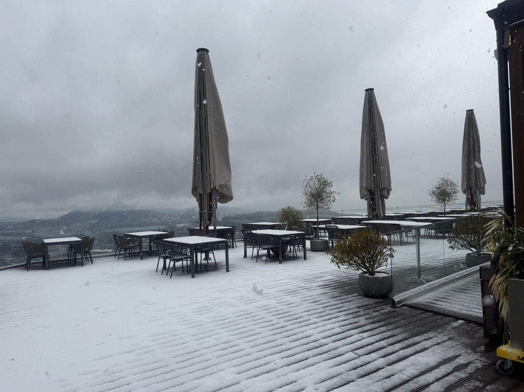 海梅尔里奇酒店主图