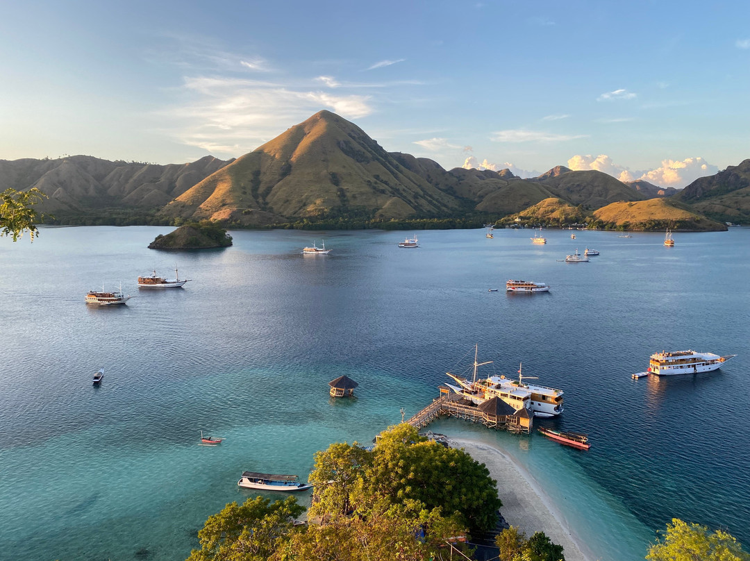 Komodo Island-科莫多国家公园必去景点