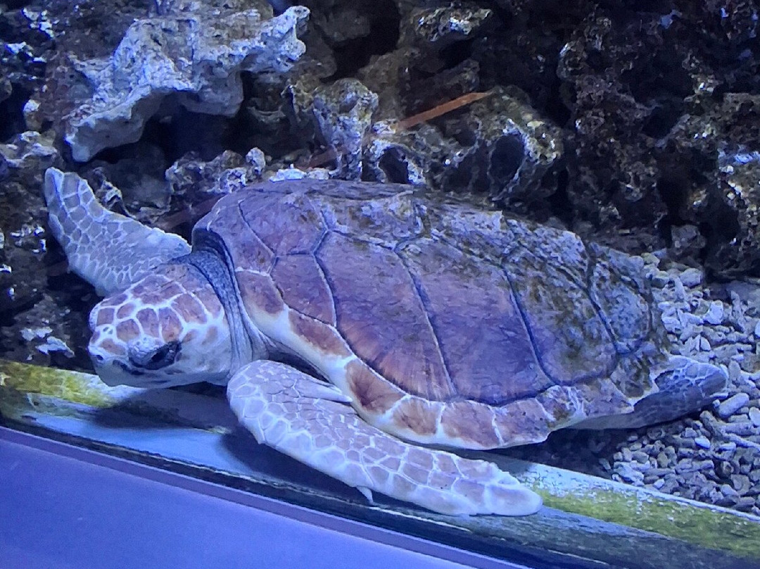 Bergen Aquarium-卑尔根必去景点