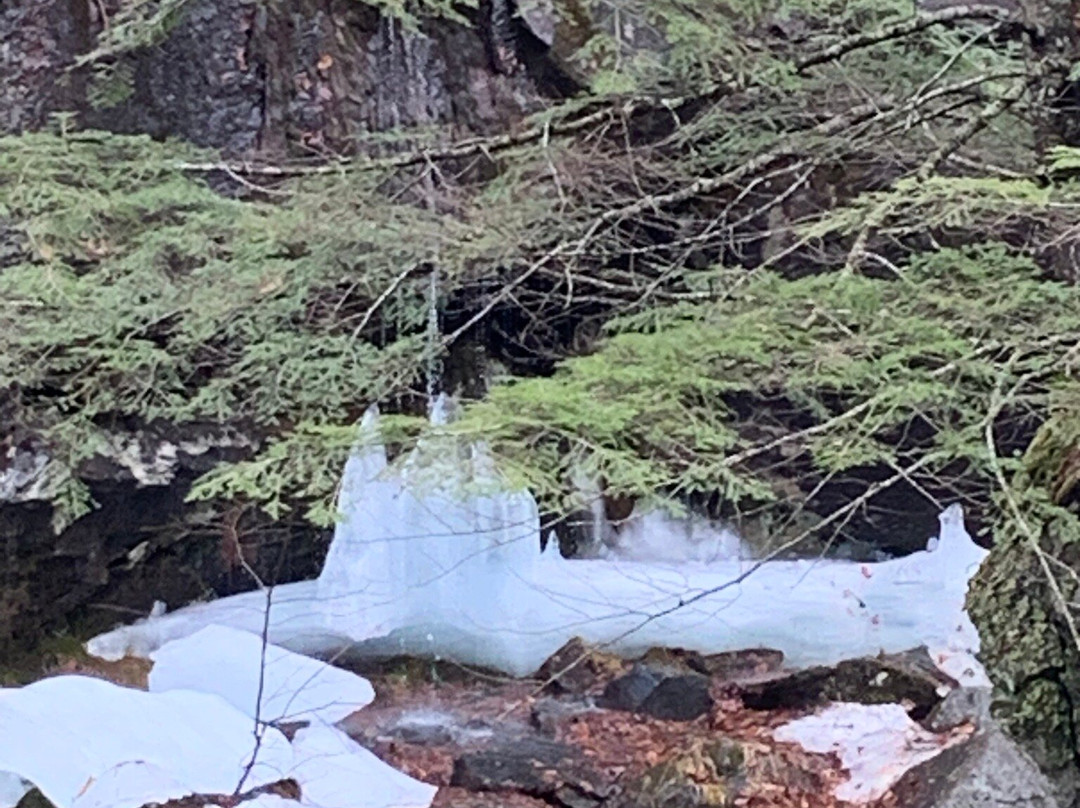 Grafton Notch State Park-贝塞尔必去景点