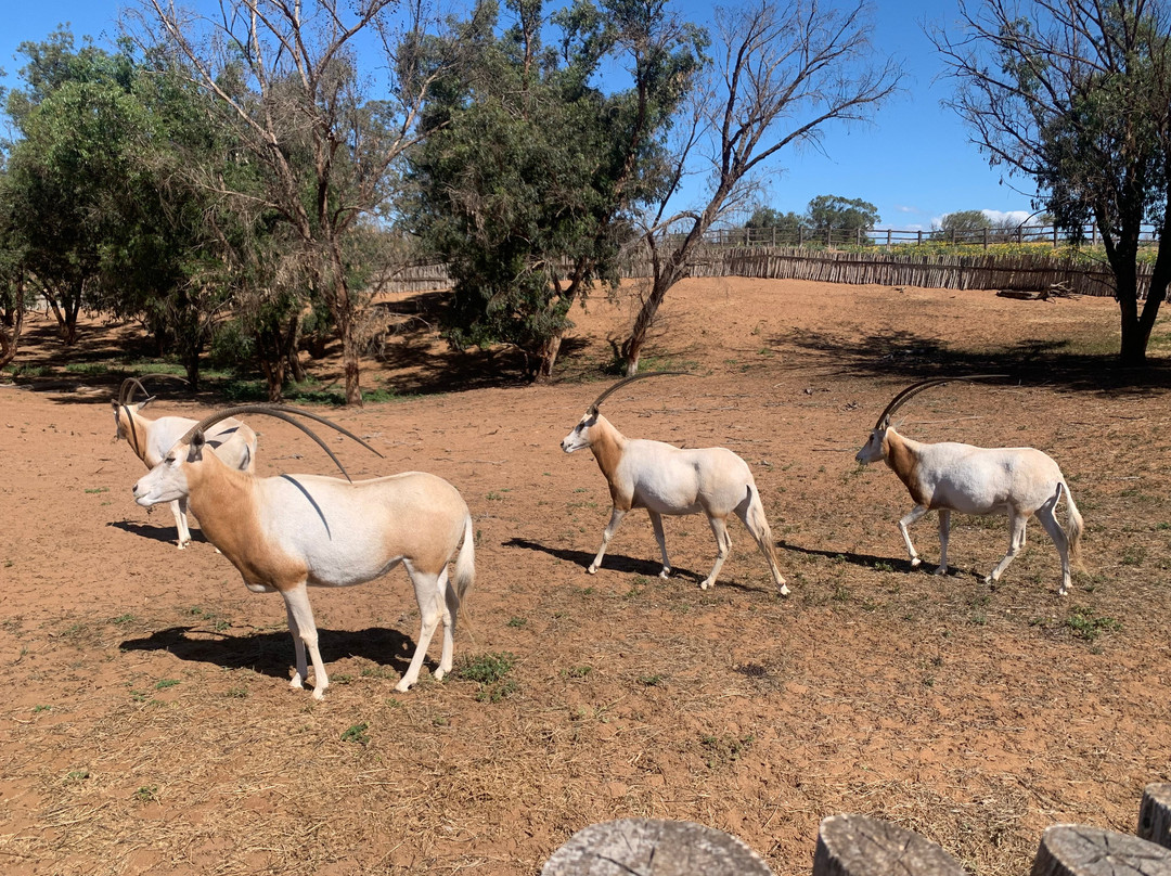 Parc Nacional de Souss-Massa-Takate必去景点