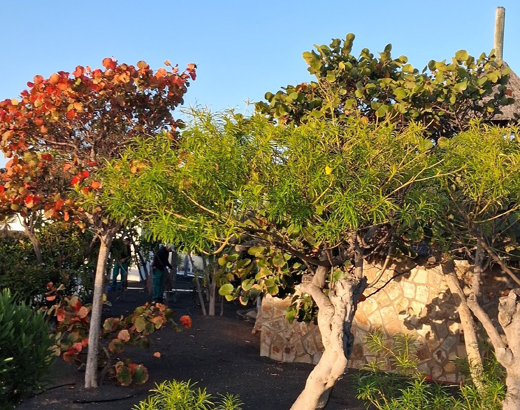 Bluesea Alyssa Suite Hotel主图