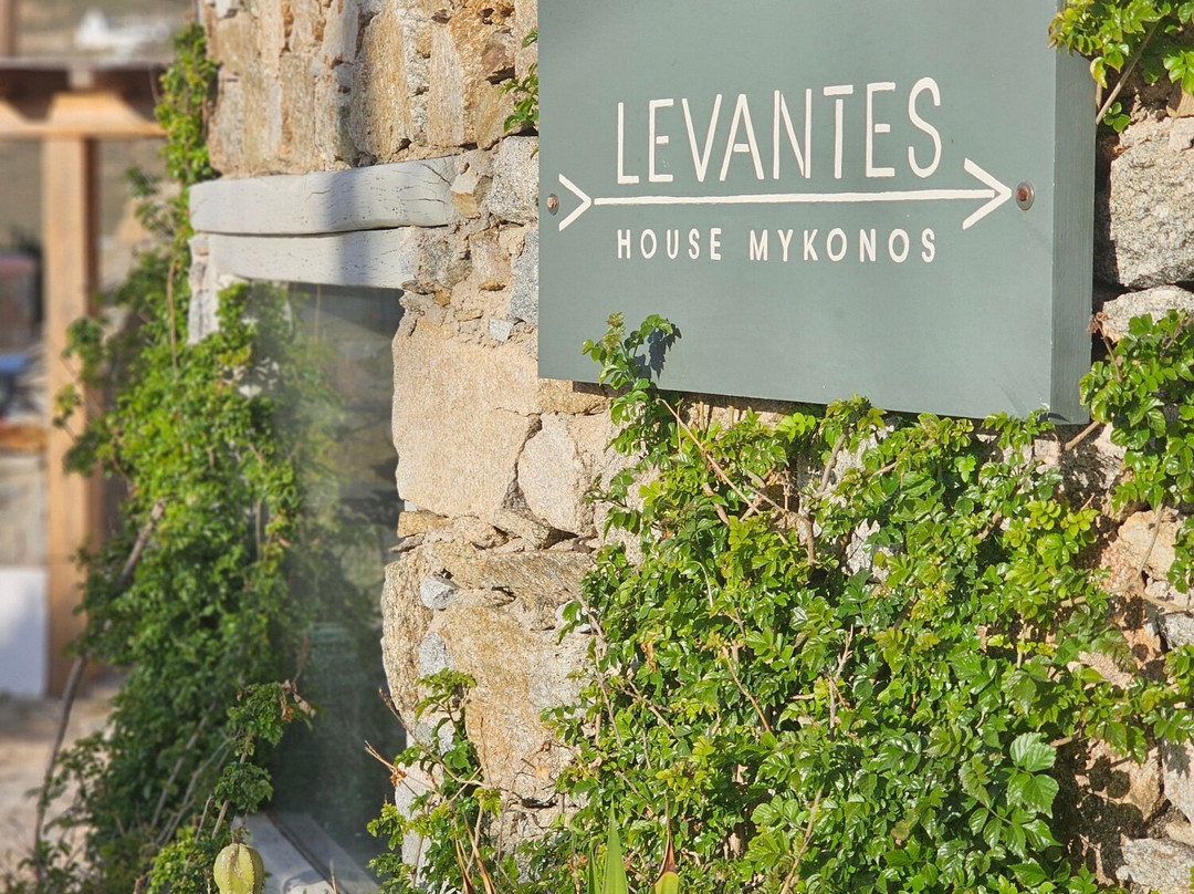 Levantes House Mykonos