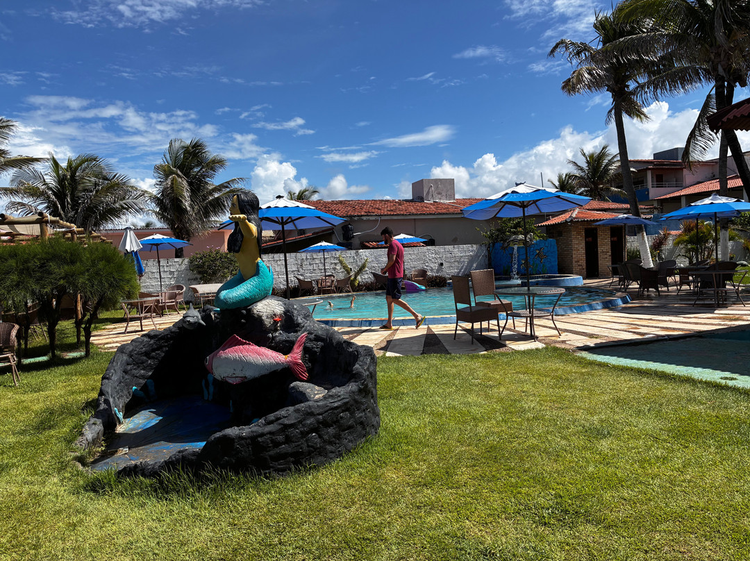 Praia Das Tartarugas主图