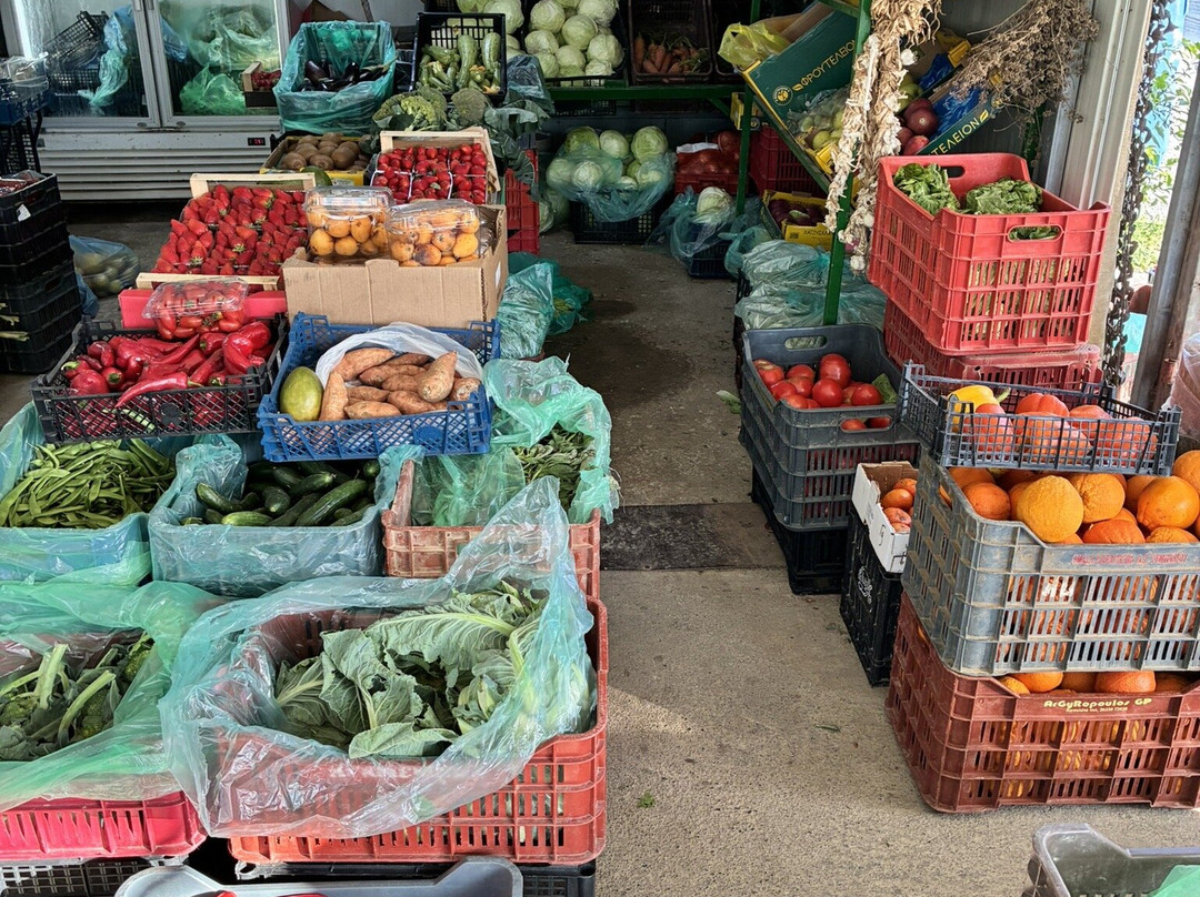 Elli's Farm-Agia Varvara必去景点