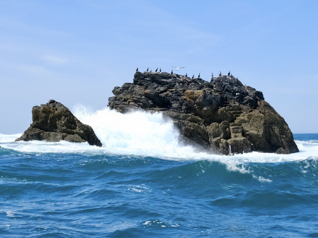 Archipel Excursions-勒孔凯必去景点