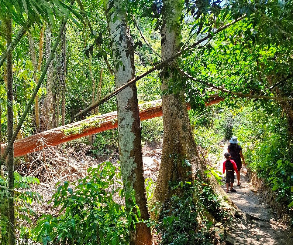 Bang Pae Waterfall-Thep Krasattri必去景点