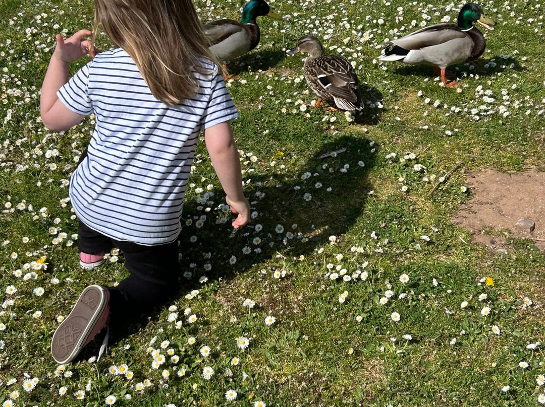 Butlin's Minehead Resort主图