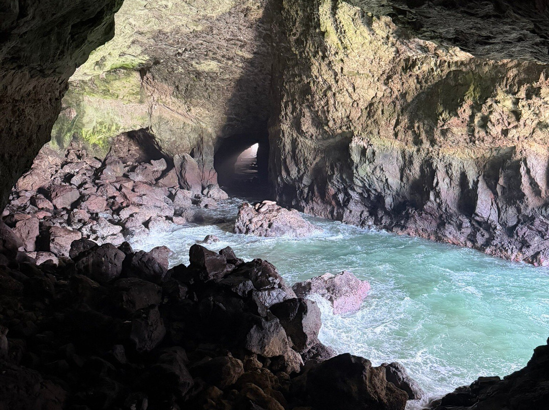 Sea Lion Caves-弗洛伦斯必去景点