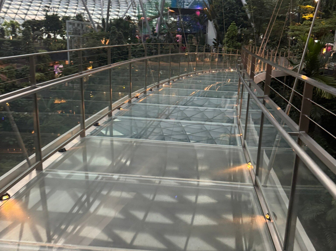 Jewel Changi Airport-新加坡必去景点