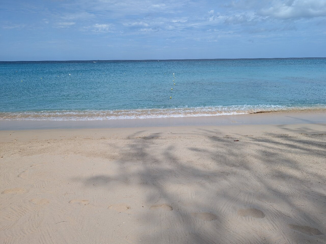 Paynes Bay Beach-Paynes Bay必去景点