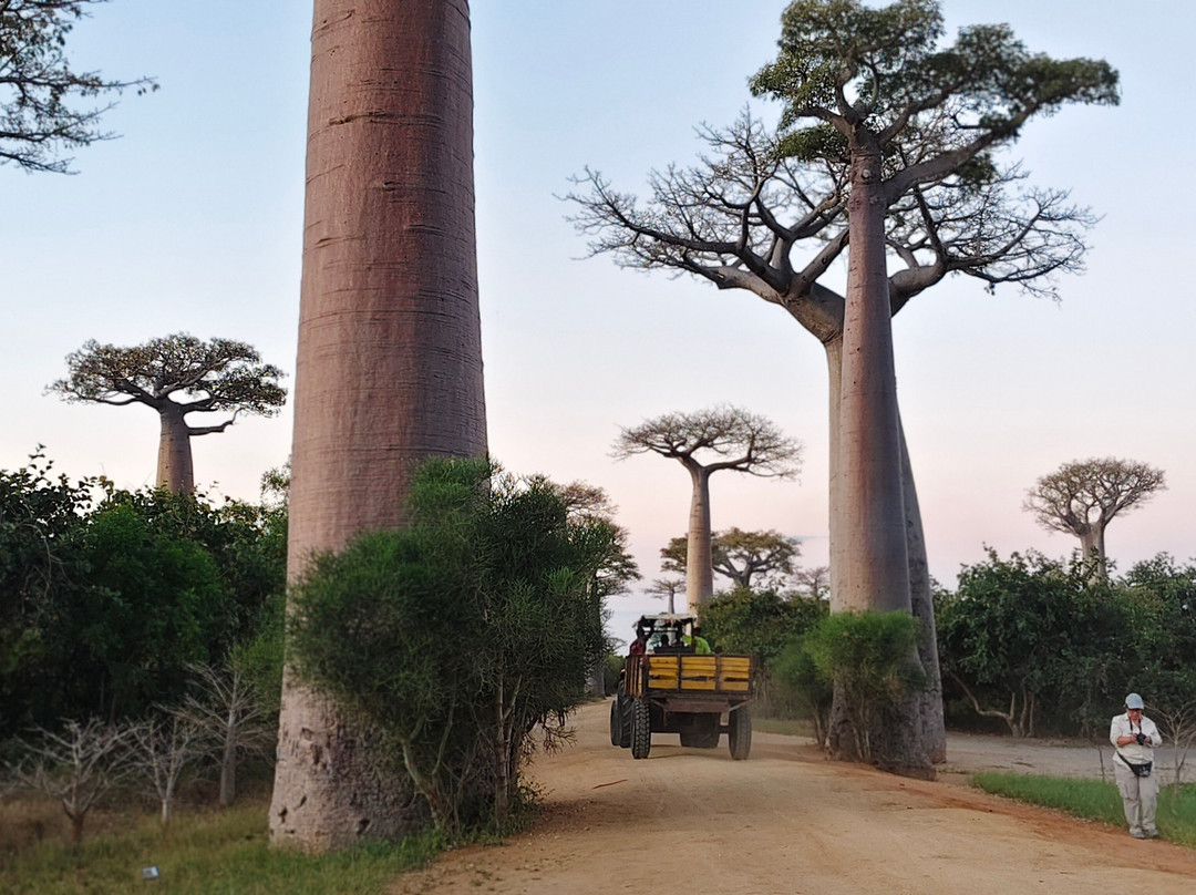 Madagascar Natural Tours-安塔那那利佛必去景点